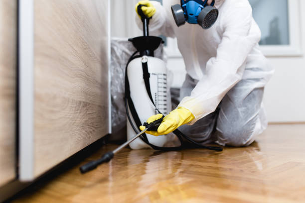  Huntsville, AL Pest Control Pros