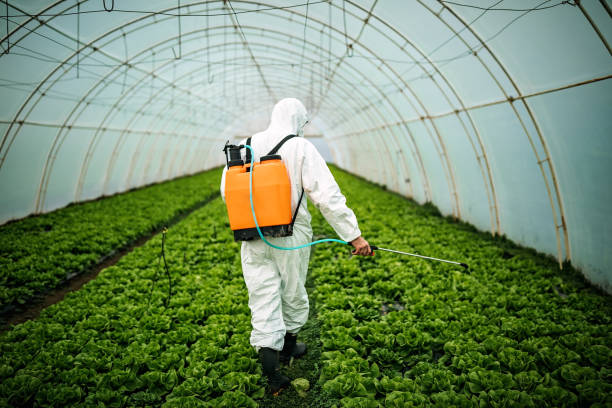 Best Pest Inspection Near Me  in Huntsville, AL